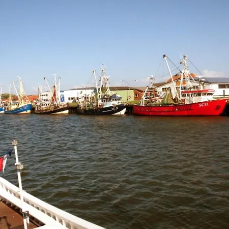 Hering Büsum
